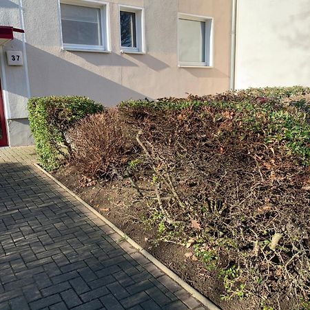 Mycha Ferienwohnung Goslar Esterno foto